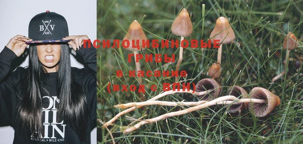 шишки Алексин