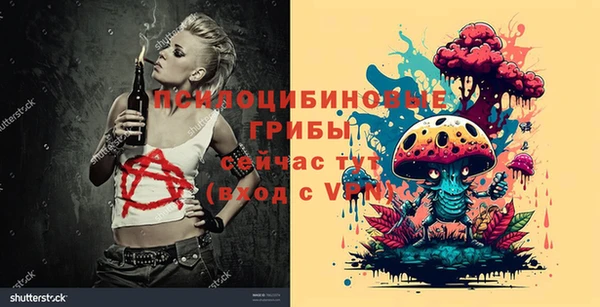 шишки Алексин