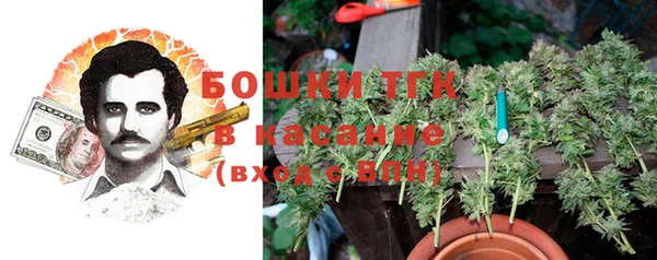 шишки Алексин