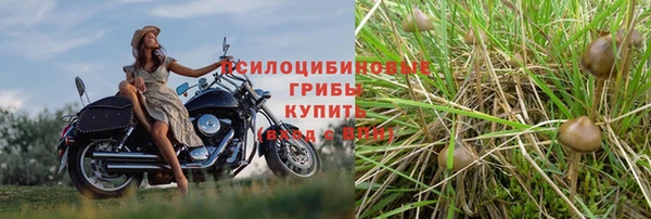 шишки Алексин