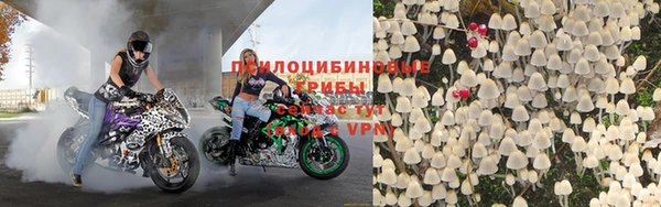 шишки Алексин