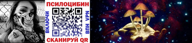 Псилоцибиновые грибы GOLDEN TEACHER  Красноярск 